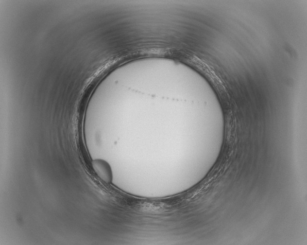 X0000115430346200912020929