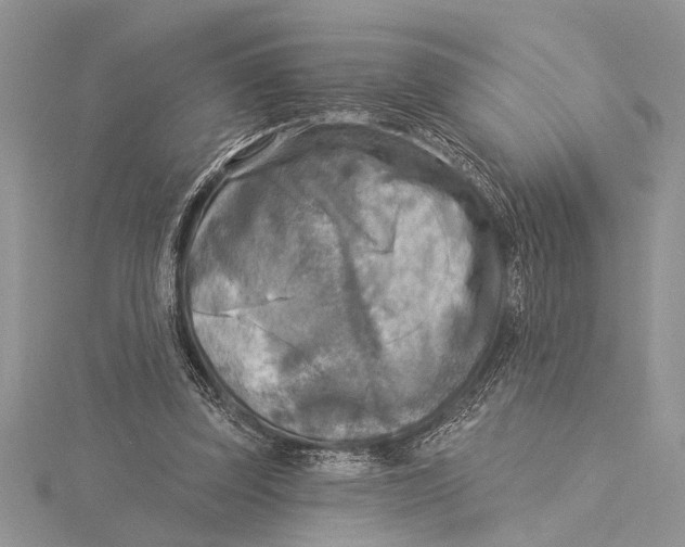 X0000115430347200912020929