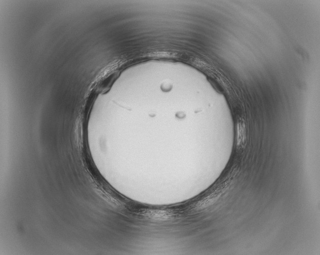 X0000115430349200912020929