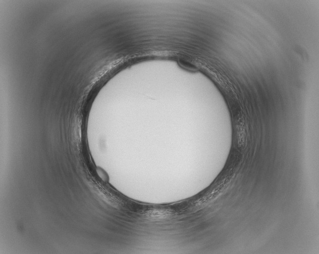 X0000115430350200912020929