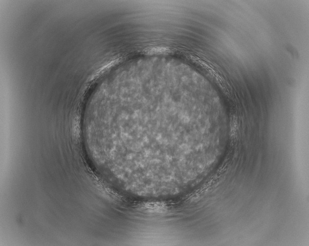 X0000115430353200912020929