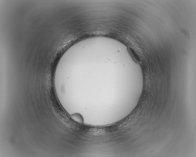 X0000115430354200912020929