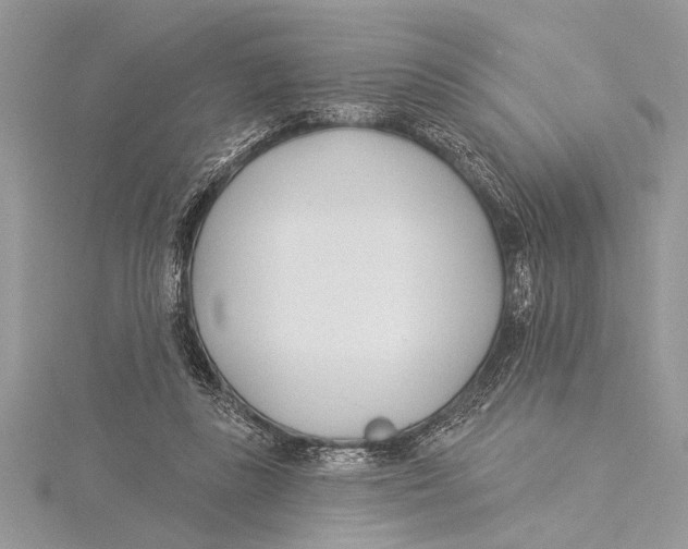 X0000115430355200912020929