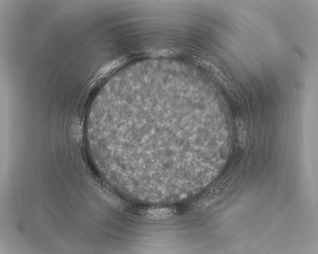 X0000115430357200912020929