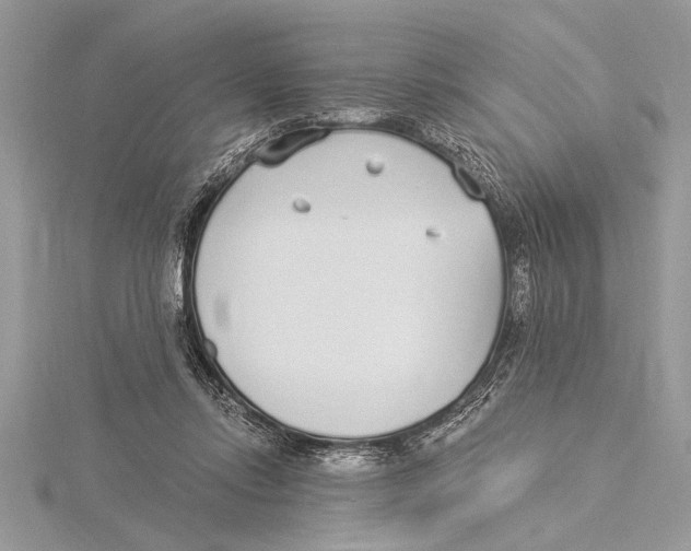 X0000115430358200912020929