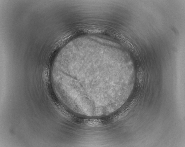 X0000115430359200912020929