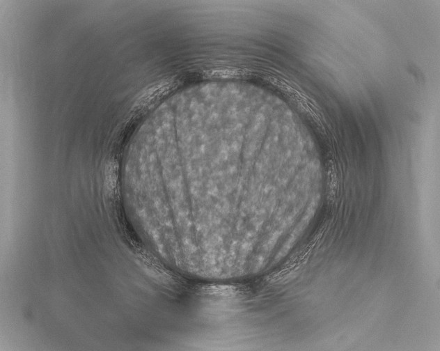 X0000115430361200912020929