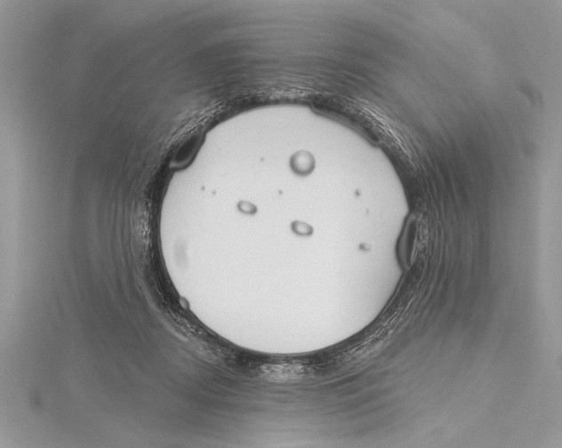 X0000115430362200912020929