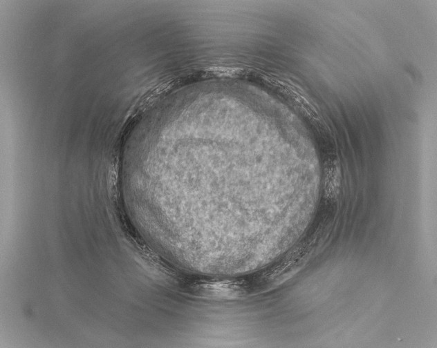 X0000115430365200912020929