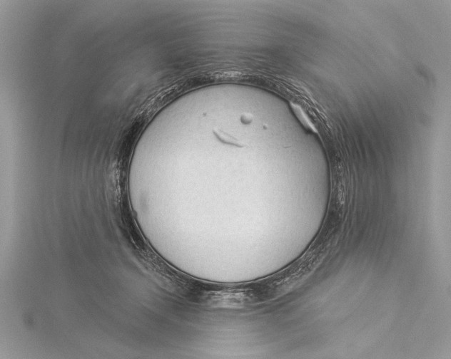 X0000115430366200912020929