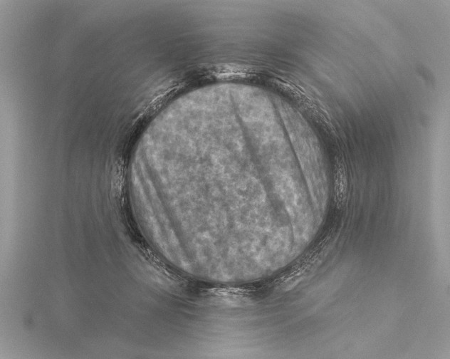 X0000115430367200912020929