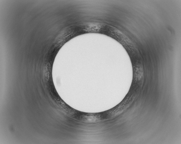 X0000115430370200912020929