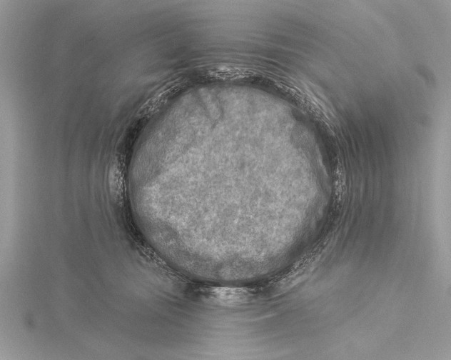 X0000115430371200912020929