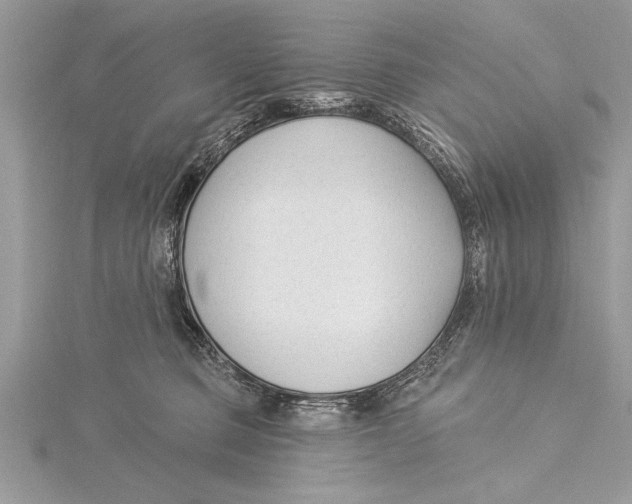 X0000115430373200912020929