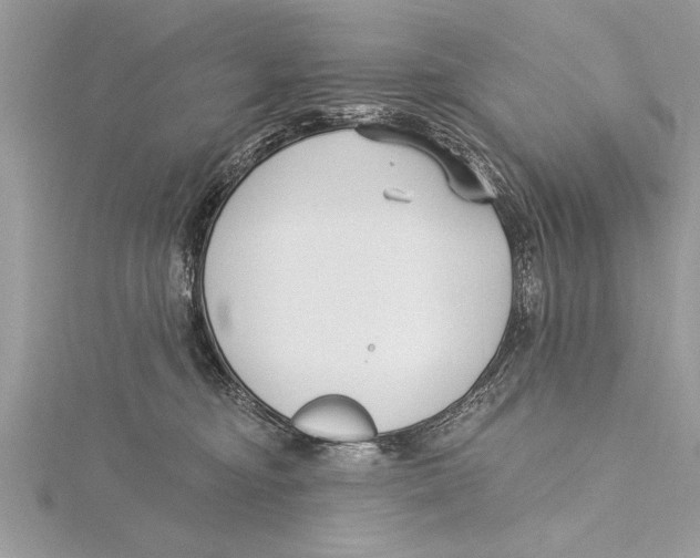 X0000115430374200912020929