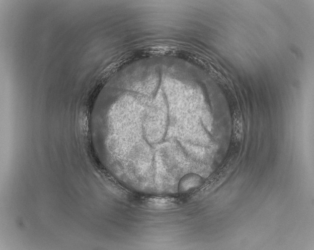 X0000115430375200912020929