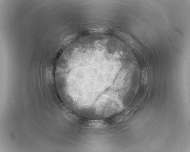 X0000115430377200912020929