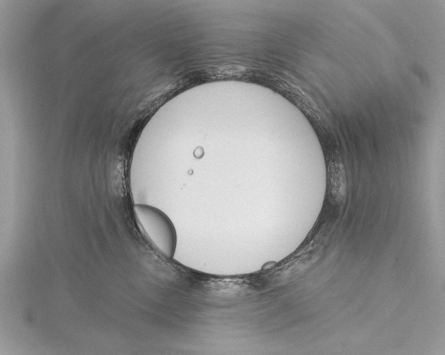 X0000115430378200912020929