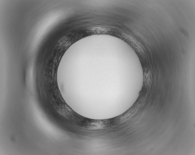 X0000115430381200912020929