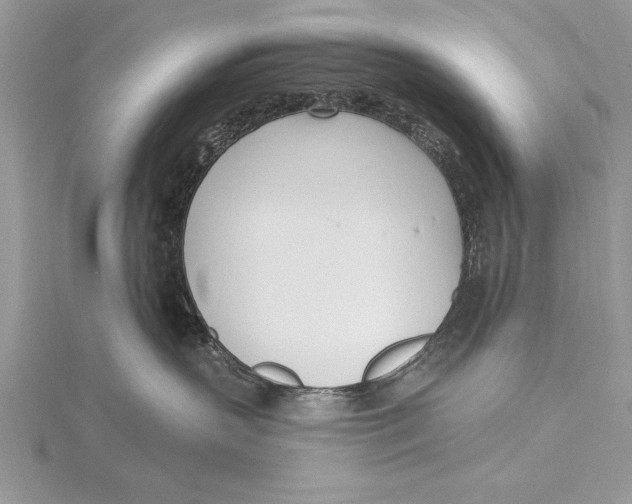 X0000115430383200912020929