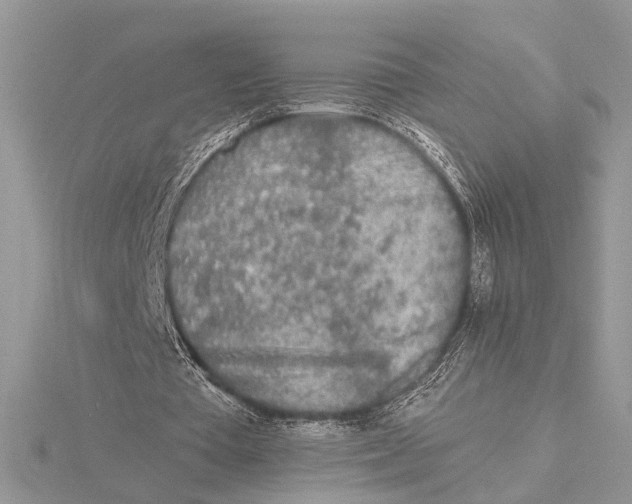 X0000115430385200912020929