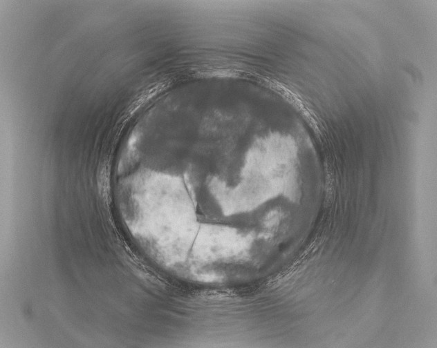 X0000115430386200912020929