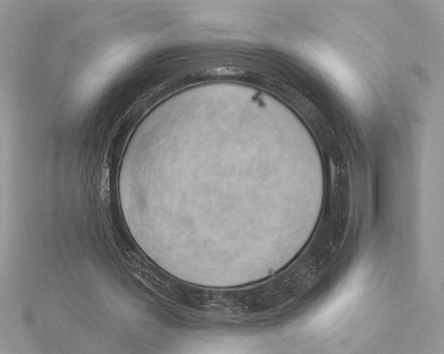 X0000115430387200912020929