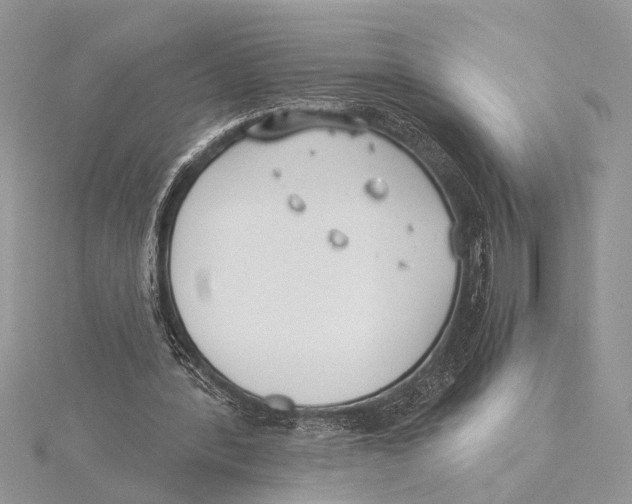 X0000115430388200912020929