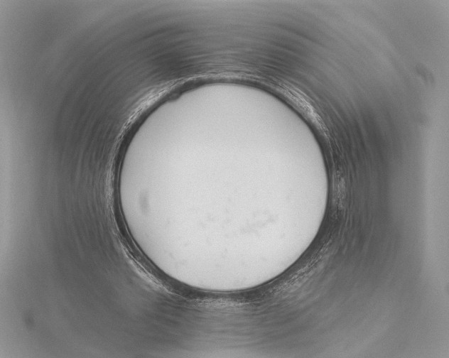 X0000115430389200912020929