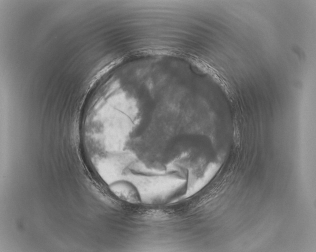 X0000115430390200912020929