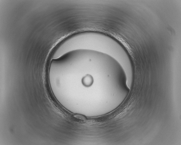 X0000115430391200912020929