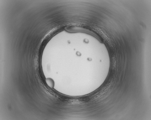 X0000115430392200912020929