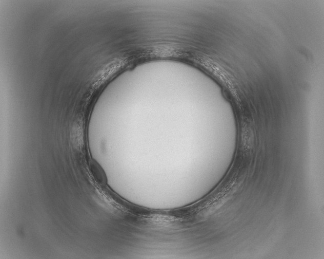 X0000115430393200912020929