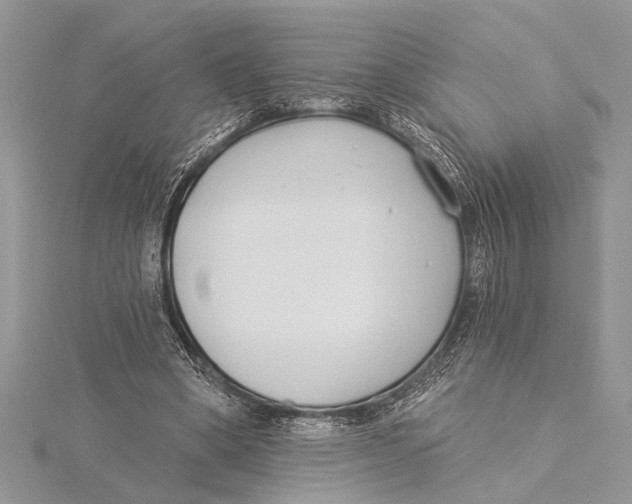 X0000115430394200912020928