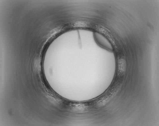 X0000115430395200912020928