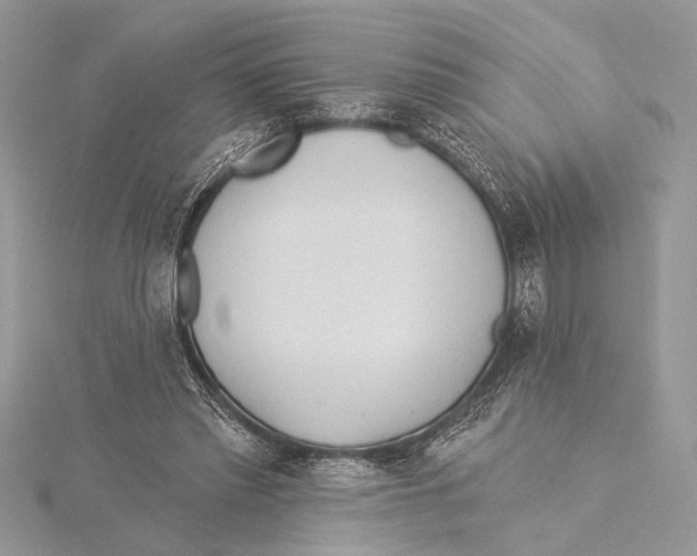 X0000115430397200912020928