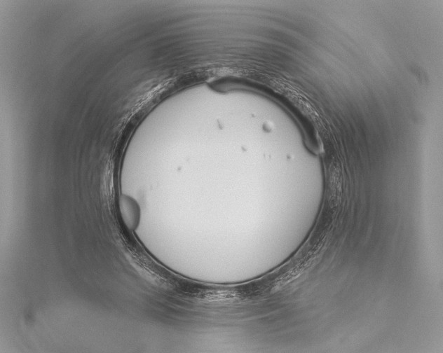 X0000115430398200912020928