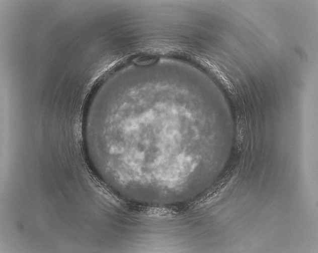 X0000115430399200912020928