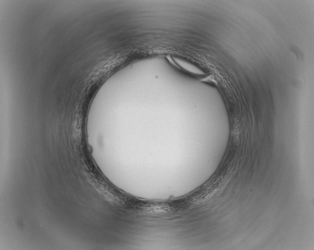 X0000115430402200912020928