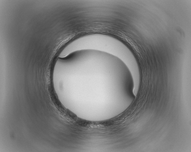 X0000115430403200912020928