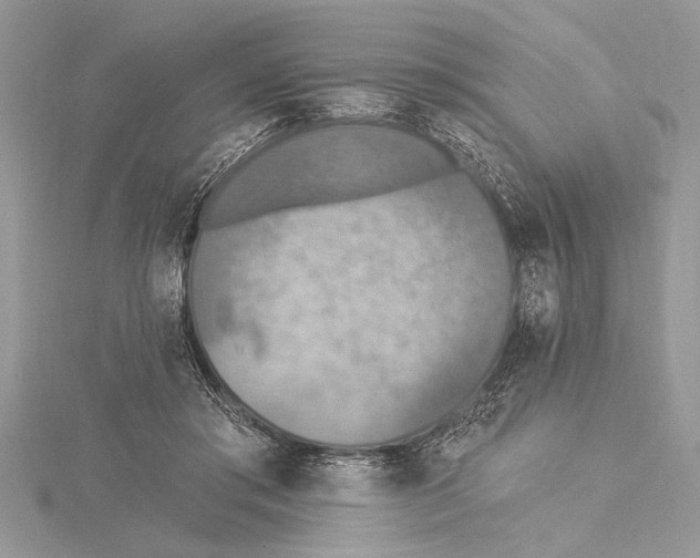 X0000115430405200912020928