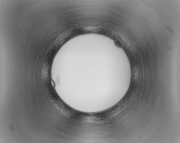 X0000115430408200912020928