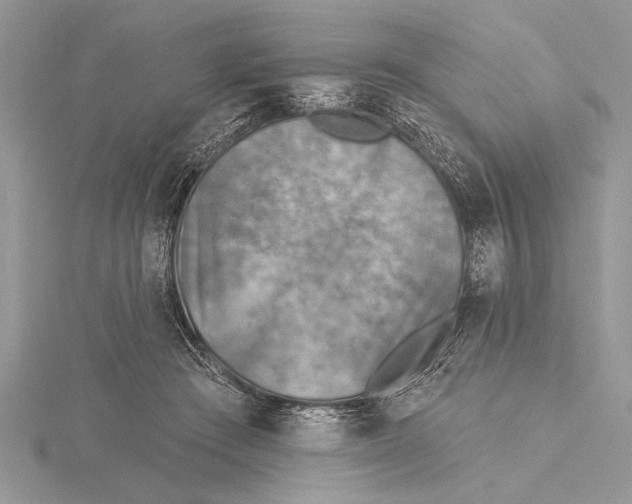 X0000115430409200912020928