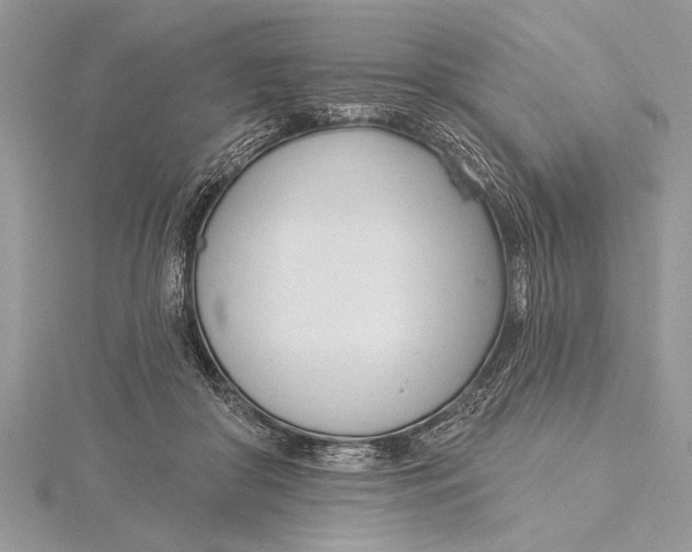 X0000115430410200912020928