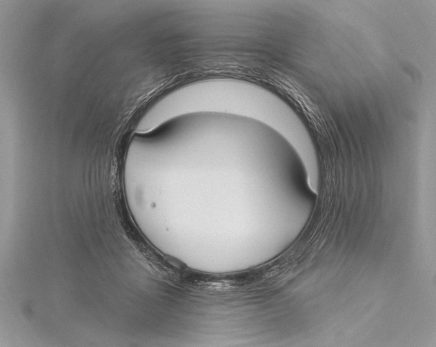 X0000115430411200912020928