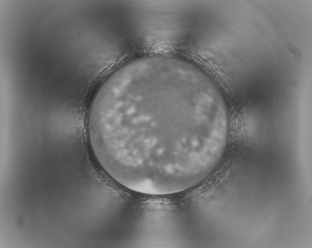 X0000115430415200912020928