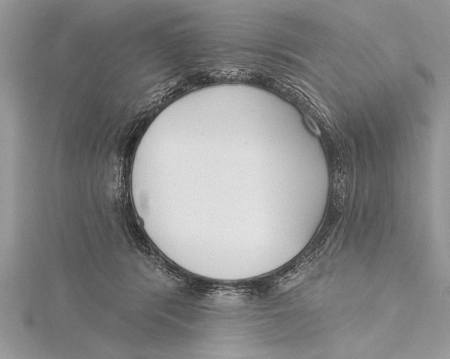 X0000115430416200912020928