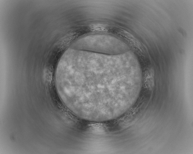 X0000115430417200912020928