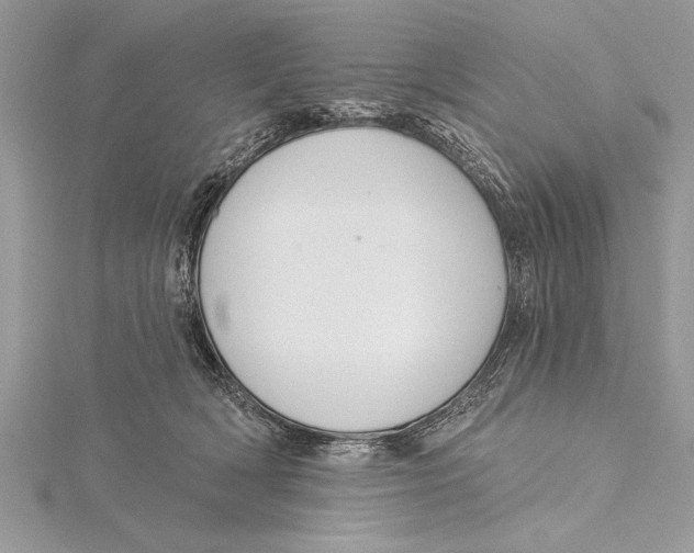 X0000115430418200912020928