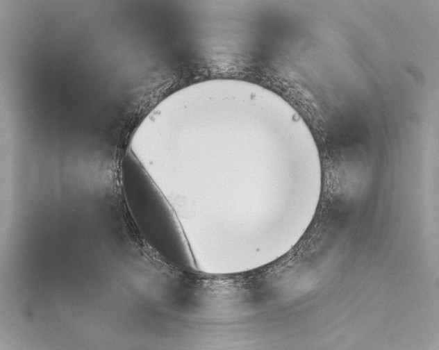 X0000115430419200912020928